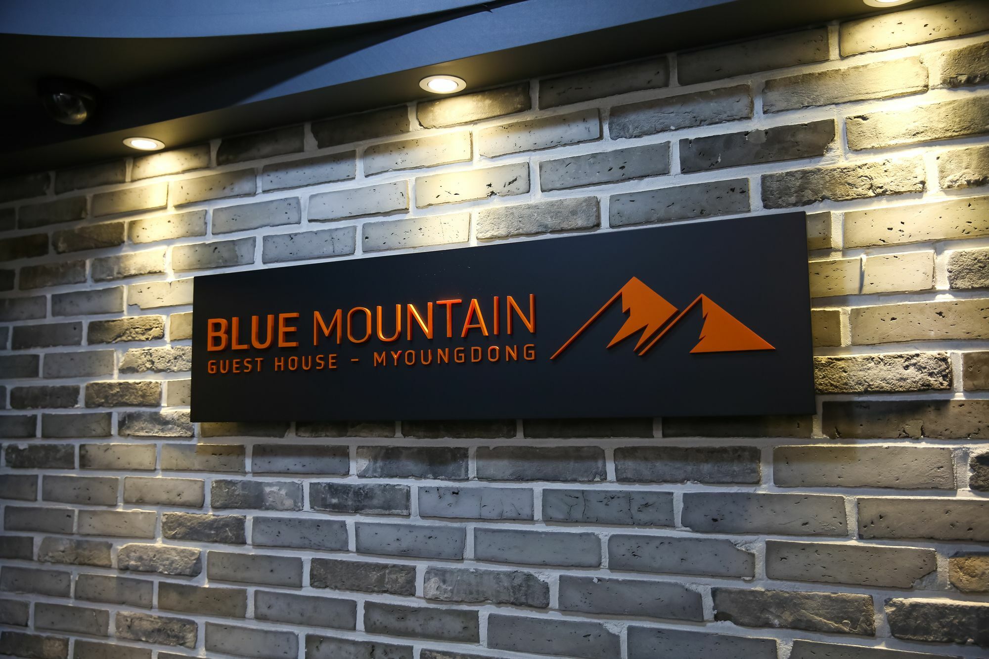 Blue Mountain Myeong-Dong Hotel Seoul Exterior photo