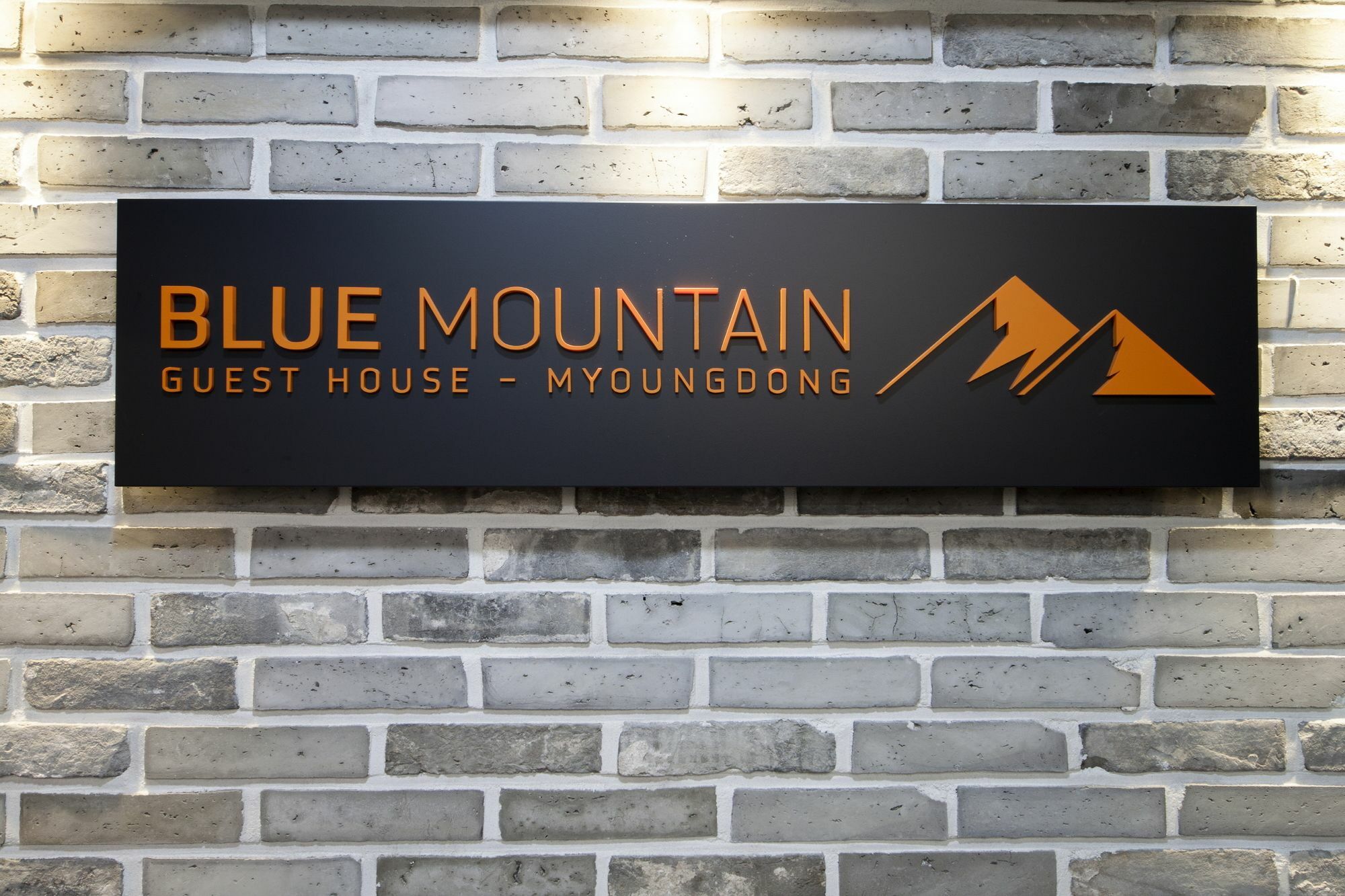 Blue Mountain Myeong-Dong Hotel Seoul Exterior photo