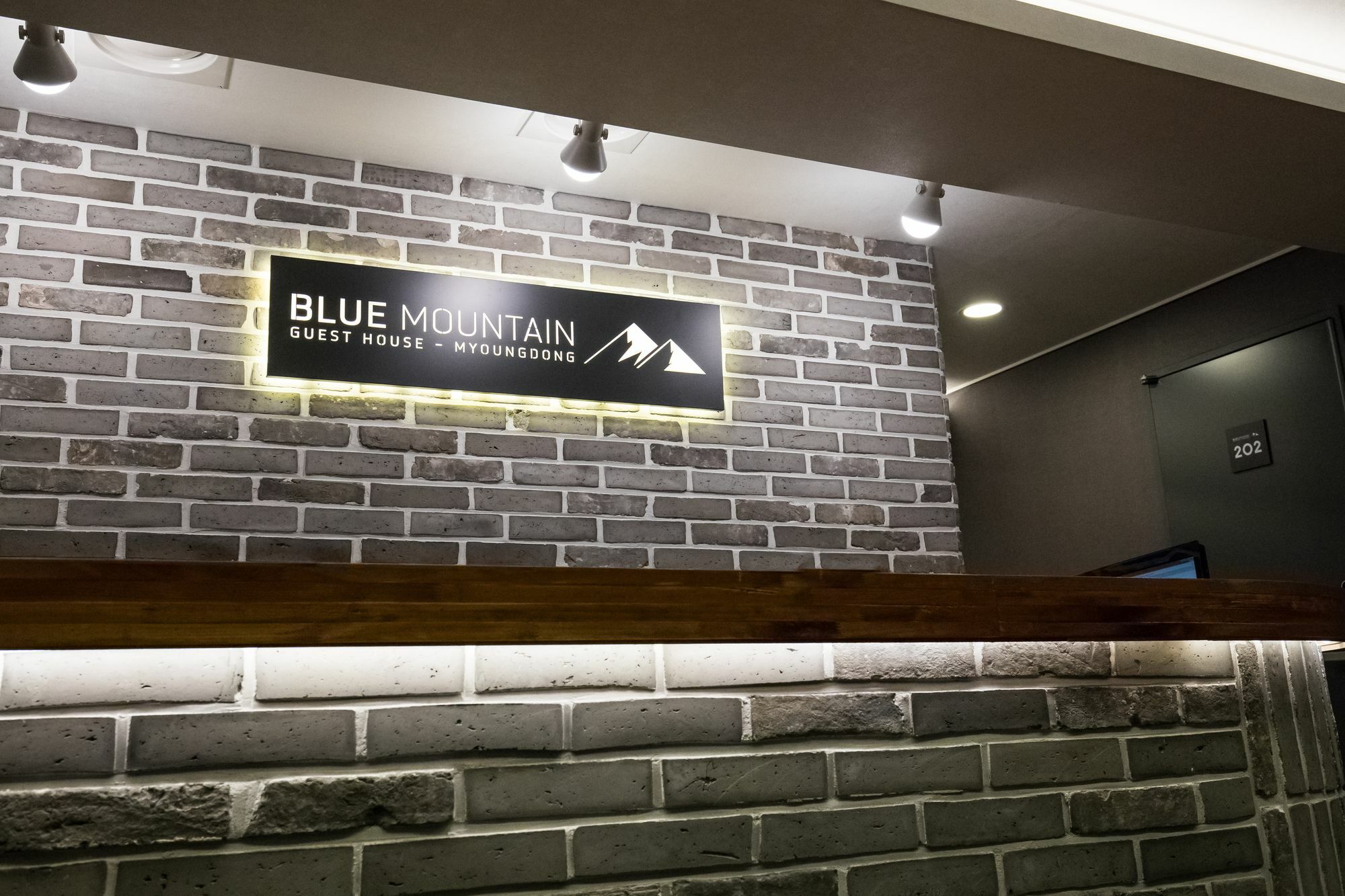 Blue Mountain Myeong-Dong Hotel Seoul Exterior photo
